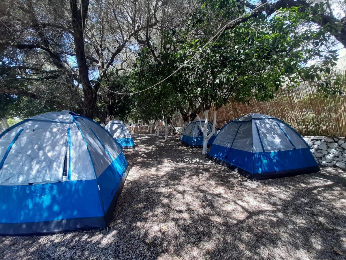 מלון Social Camping ג'אל מראה חיצוני תמונה