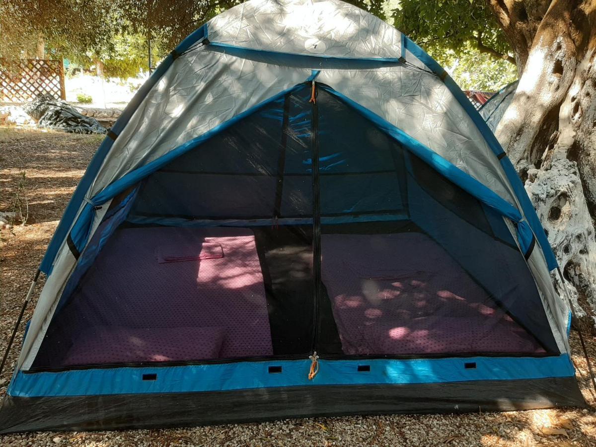 מלון Social Camping ג'אל מראה חיצוני תמונה