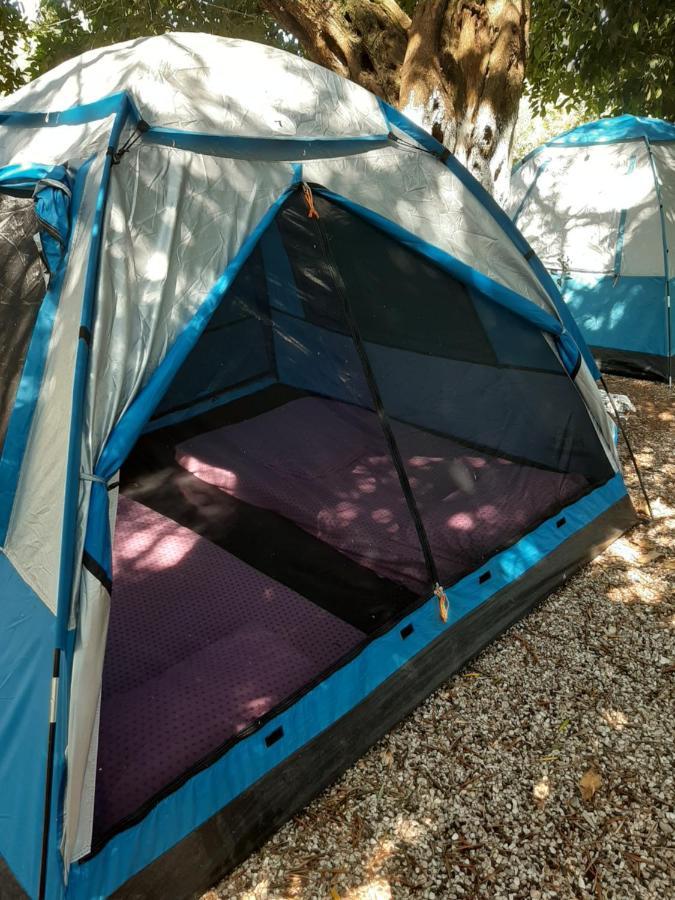 מלון Social Camping ג'אל מראה חיצוני תמונה