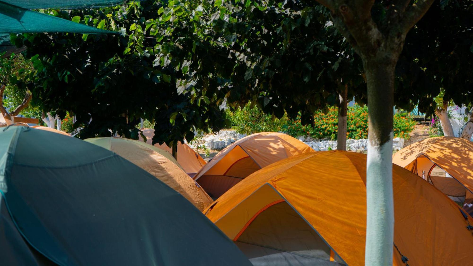 מלון Social Camping ג'אל מראה חיצוני תמונה